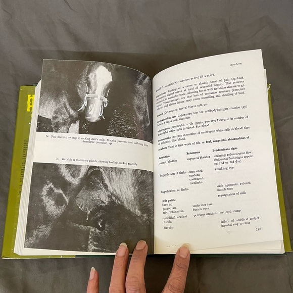 The Horse’s Health From A to Z An Equine Veterinary Dictionary 1978 - Picture 16 of 16